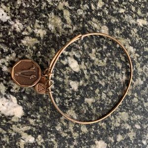Alex and Ani bracelet with “V” charm